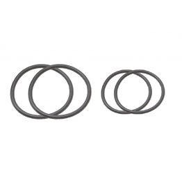 stem1-ring